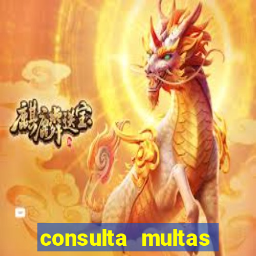 consulta multas detran mg